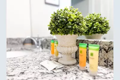 2442 Dubai Street, Kissimmee, FL 34747 - Photo 43