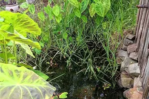 9680 SE 164th Pl, Summerfield, FL 34491 - Photo 37