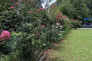 9680 SE 164th Pl, Summerfield, FL 34491 - Photo 35