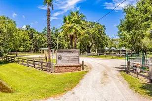 3335 Marsh Rd, Kissimmee, FL 34746 - Photo 49