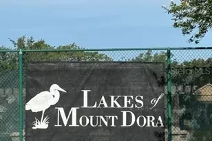 8348 Bridgeport Bay Cir, Mount Dora, FL 32757 - Photo 51