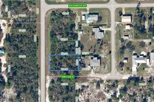 1002 Tennyson St, Lake Placid, FL 33852 - Photo 1
