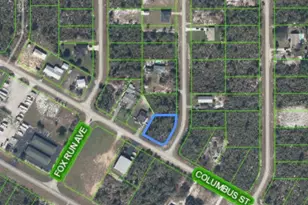 1414 Columbus St, Lake Placid, FL 33852 - Photo 5