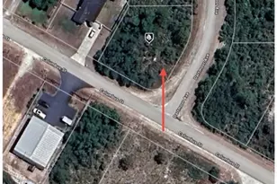 1414 Columbus St, Lake Placid, FL 33852 - Photo 7