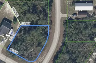 1414 Columbus St, Lake Placid, FL 33852 - Photo 3