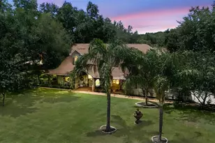 32137 Wolf Branch Ln, Sorrento, FL 32776 - Photo 7