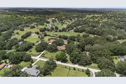 32137 Wolf Branch Lane, Sorrento, FL 32776 - Photo 75
