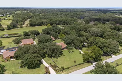 32137 Wolf Branch Lane, Sorrento, FL 32776 - Photo 77