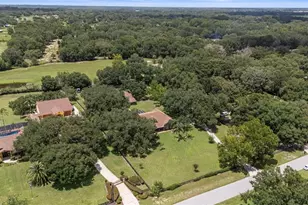 32137 Wolf Branch Ln, Sorrento, FL 32776 - Photo 77