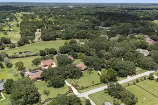 32137 Wolf Branch Ln, Sorrento, FL 32776 - Photo 85