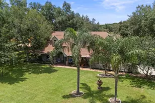 32137 Wolf Branch Ln, Sorrento, FL 32776 - Photo 5