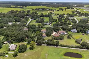 32137 Wolf Branch Ln, Sorrento, FL 32776 - Photo 89