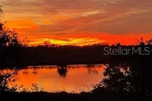 9008 Sonoma Coast Dr, Winter Garden, FL 34787 - Photo 37