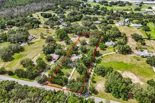 17877 Phil C Peters Rd, Winter Garden, FL 34787 - Photo 45