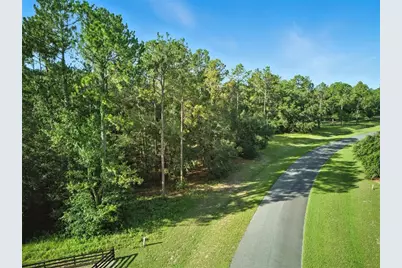 24148 Deep Springs Loop, Eustis, FL 32736 - Photo 5