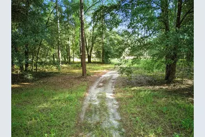 24148 Deep Springs Loop, Eustis, FL 32736 - Photo 7