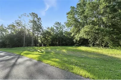 24148 Deep Springs Loop, Eustis, FL 32736 - Photo 13