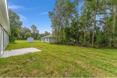 319 Fisher Road, Ocklawaha, FL 32179 - Photo 51