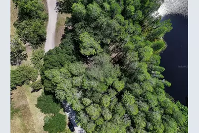 19832 Westwood Lane, Land O Lakes, FL 34638 - Photo 5