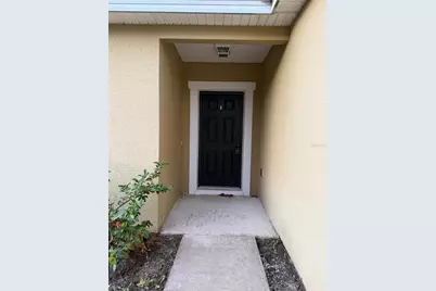 3089 Dasha Palm Drive, Kissimmee, FL 34744 - Photo 3