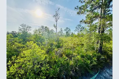 0 Shakedown Street, Saint Cloud, FL 34773 - Photo 9