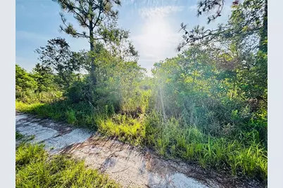 0 Shakedown Street, Saint Cloud, FL 34773 - Photo 1