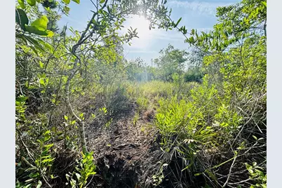 0 Shakedown Street, Saint Cloud, FL 34773 - Photo 5