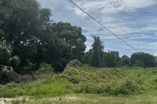 1306 Pell Rd, Osteen, FL 32764 - Photo 1