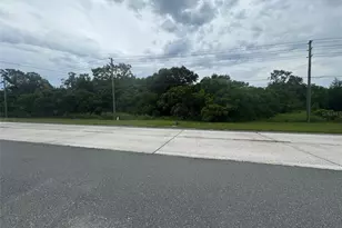 4026 N Orange Blossom Trail, Mount Dora, FL 32757 - Photo 1