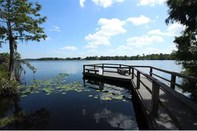 861 Lullwater Drive, Oviedo, FL 32765 - Photo 47