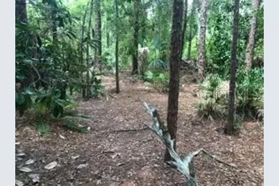 2380 Shepherd Avenue, Saint Cloud, FL 34771 - Photo 19