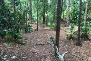 2380 Shepherd Ave, Saint Cloud, FL 34771 - Photo 19