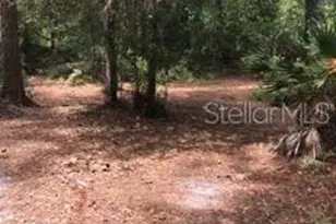 2380 Shepherd Ave, Saint Cloud, FL 34771 - Photo 15