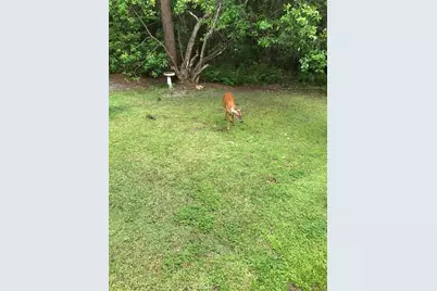 2380 Shepherd Avenue, Saint Cloud, FL 34771 - Photo 13