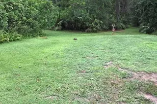 2380 Shepherd Ave, Saint Cloud, FL 34771 - Photo 11