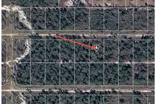 455 Nightingale Ave, Sebring, FL 33870 - Photo 9