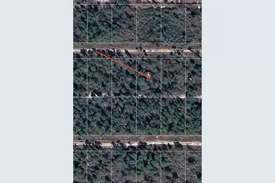 455 Nightingale Avenue, Sebring, FL 33870 - Photo 11