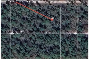 455 Nightingale Ave, Sebring, FL 33870 - Photo 11