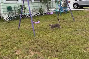 33 W F St, Frostproof, FL 33843 - Photo 3