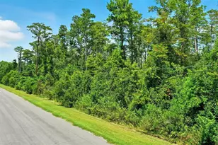Paddock St, Orlando, FL 32833 - Photo 1