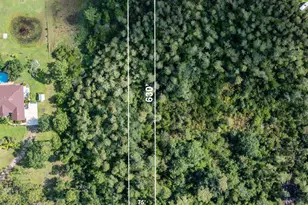 Paddock St, Orlando, FL 32833 - Photo 1