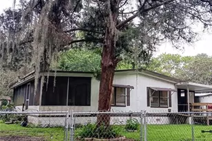 25210 NE 133rd St, Fort Mc Coy, FL 32134 - Photo 1