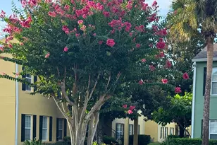 2053 Dixie Belle Dr, Orlando, FL 32812 - Photo 7