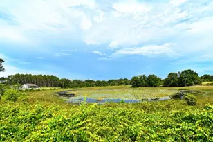 23637 State Road 19, Howey in the Hills, FL 34737 - Photo 61