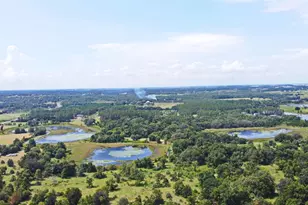 23637 State Road 19, Howey in the Hills, FL 34737 - Photo 5