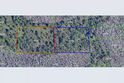 Dill Road, Orlando, FL 32820 - Photo 7