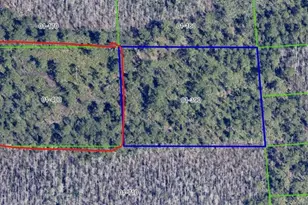 Dill Rd, Orlando, FL 32820 - Photo 7