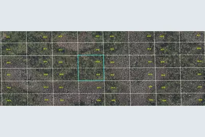 Dill Road, Orlando, FL 32820 - Photo 1