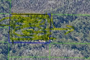 Dill Rd, Orlando, FL 32820 - Photo 3