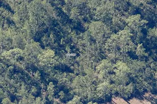 Dill Rd, Orlando, FL 32820 - Photo 5